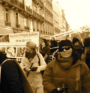 Anti Corrida,fevr2012